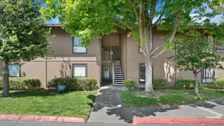 Photo #1: 224041550 Listing