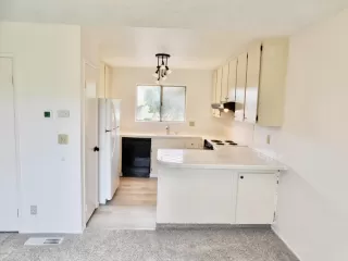 Photo #2: 224041651 Listing 