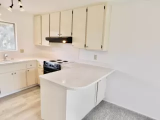 Photo #3: 224041651 Listing 