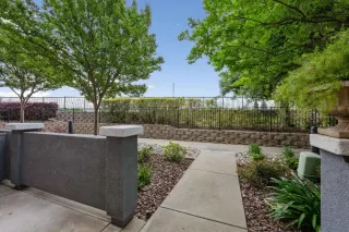 Photo #3: 224042126 Listing 