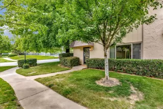 Photo #5: 224043389 Listing 