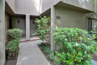 Photo #2: 224043406 Listing