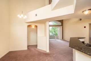 Photo #3: 224043759 Listing 