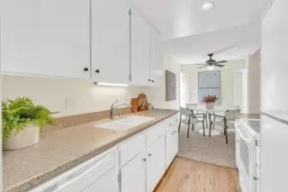 Photo #1: 224044027 Listing