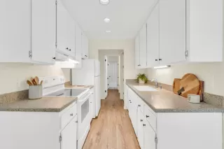 Photo #2: 224044027 Listing