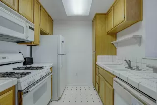 Photo #5: 224044418 Listing