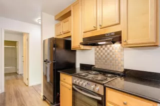 Photo #4: 224044426 Listing