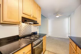 Photo #5: 224044426 Listing