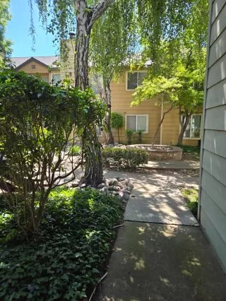 Photo #5: 224044628 Listing