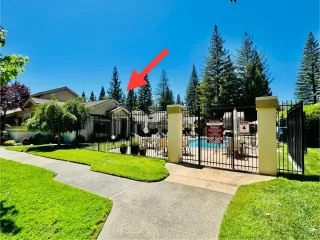 Photo #4: 224044756 Listing