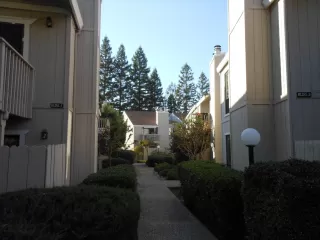 Photo #1: 224044792 Listing 