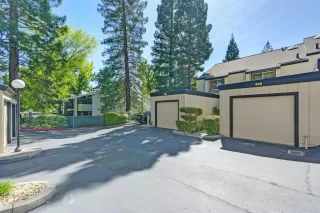 Photo #3: 224046494 Listing