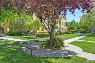 Photo #3: 224047248 Listing