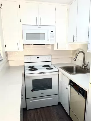 Photo #2: 224047403 Listing