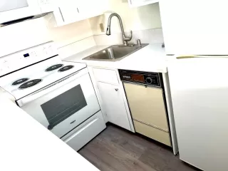 Photo #3: 224047403 Listing