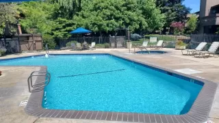 Photo #1: 224047859 Listing