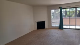 Photo #4: 224047859 Listing