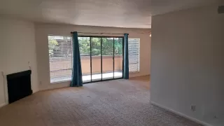 Photo #6: 224047859 Listing