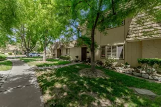 Photo #1: 224048062 Listing