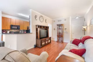 Photo #1: 224048698 Listing