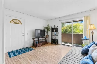 Photo #4: 224049072 Listing 