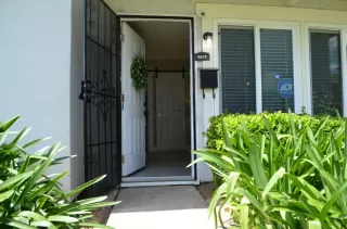 Photo #1: 224049484 Listing 