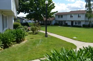 Photo #3: 224049484 Listing 