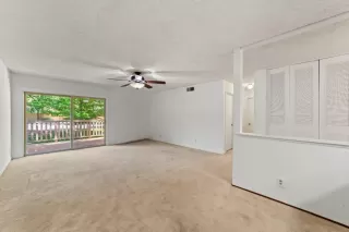 Photo #6: 224049884 Listing 