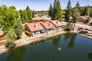 Photo #1: 224049975 Listing