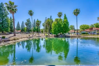 Photo #3: 224049975 Listing