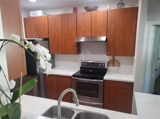 Photo #5: 224050098 Listing