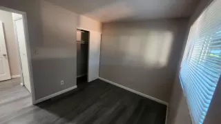 Photo #6: 224050281 Listing 