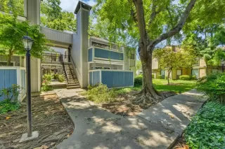 Photo #1: 224051153 Listing