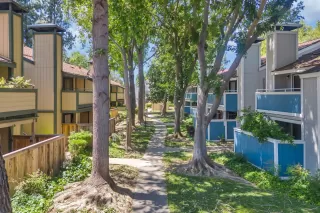 Photo #3: 224051153 Listing