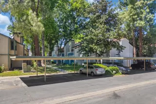 Photo #5: 224051153 Listing