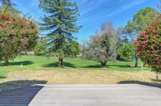 Photo #5: 224051292 Listing 