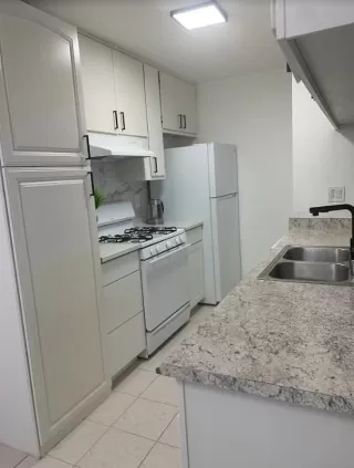 Photo #6: 224053606 Listing 