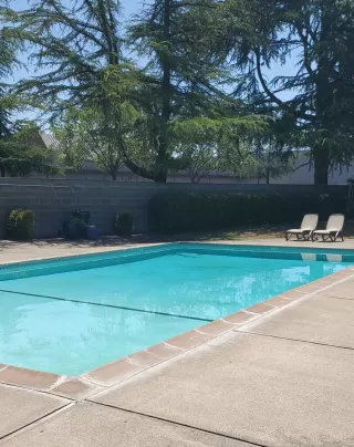 Photo #2: 224053735 Listing