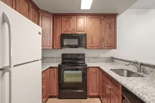 Photo #1: 224053918 Listing