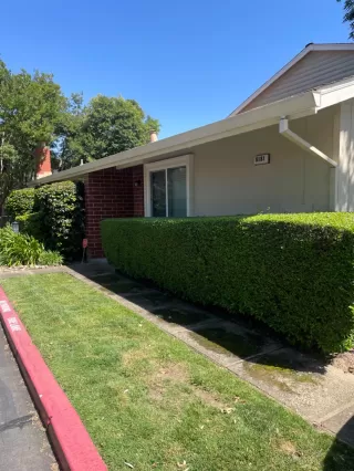 Photo #1: 224054614 Listing 