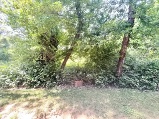 Photo #2: 224054782 Listing 