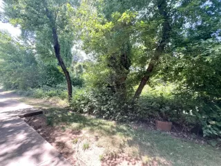 Photo #3: 224054782 Listing 