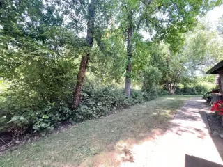 Photo #4: 224054782 Listing 