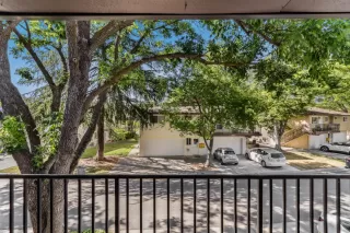 Photo #1: 224055846 Listing 