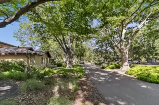 Photo #3: 224055846 Listing 