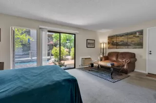 Photo #1: 224056249 Listing