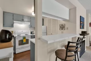 Photo #6: 224056249 Listing