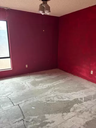 Photo #3: 224056751 Listing