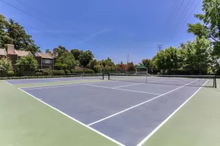 Photo #5: 224056785 Listing