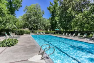 Photo #6: 224056785 Listing